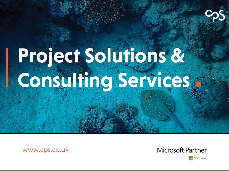 Project Solutions and Consulting Services